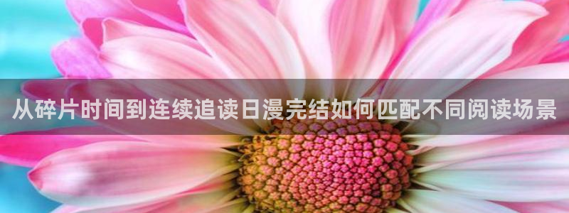 七七漫画阅读网站:从碎片时间到连续追读日漫完结如何匹配不同阅读场景