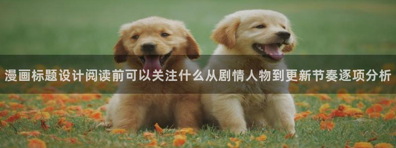 羞羞漫画排行榜：漫画标题设计阅读前可以关注什么从剧情人物到更新节奏逐项分析